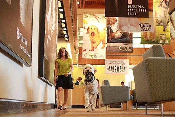 Nestle Purina PetCare