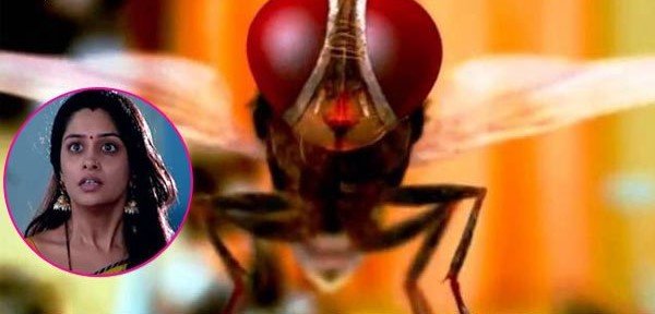 sasural simar ka siyapa