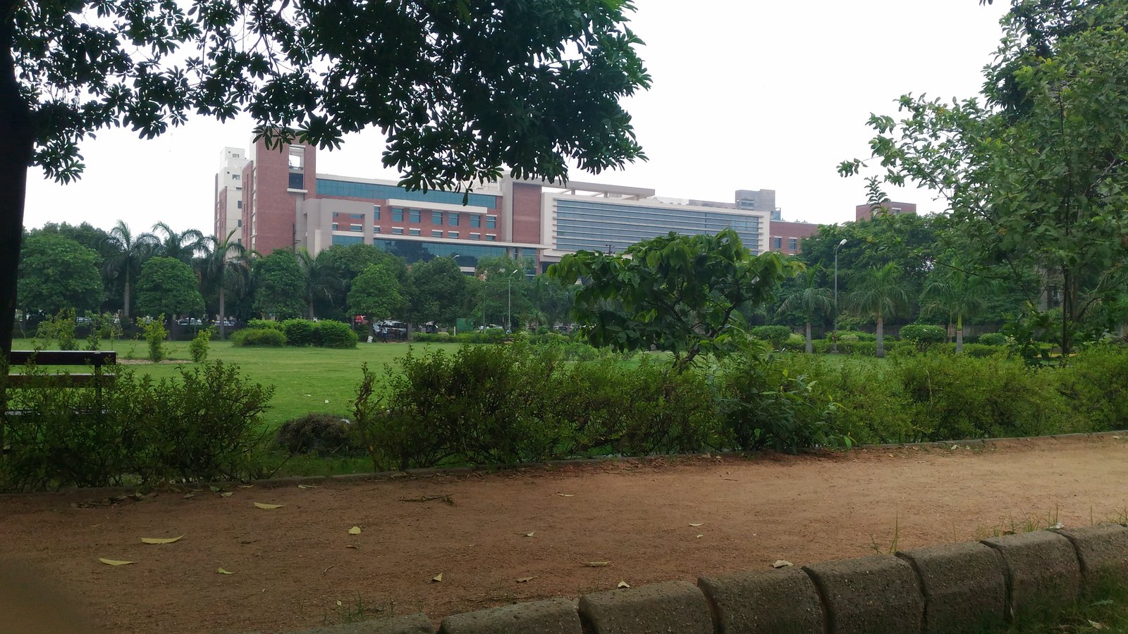 Zenfone Live Camera Pictures