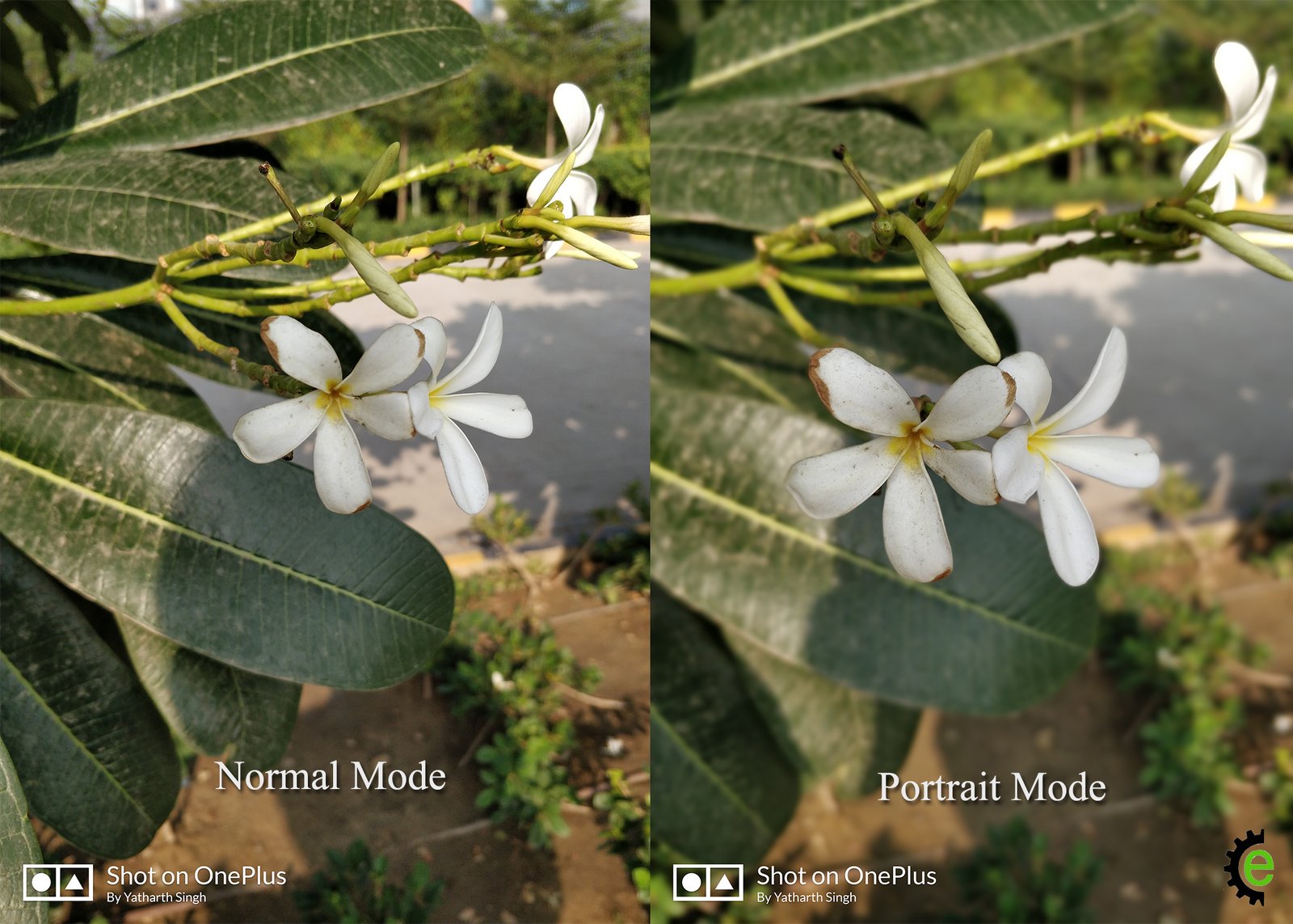 OnePlus 5T Portrait Mode