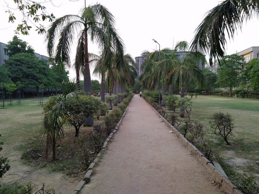 ASUS Zenfone Max pro M1 Camera Review
