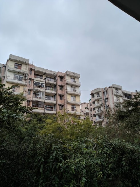 ASUS Zenfone Max Pro M2 Sample Pic 1 (2)