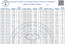 Top 5 NEET PG 2024 Rank Holders: Full List and Scores NEET PG Result 2024