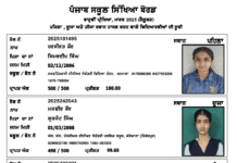 PSEB Class 12th Result 2025 Declared: Full Toppers List, Pass Percentage, and How to Check Your Score PSEB Class 12th Result 2025