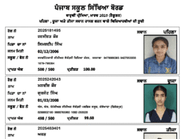 PSEB Class 12th Result 2025 Declared: Full Toppers List, Pass Percentage, and How to Check Your Score PSEB Class 12th Result 2025
